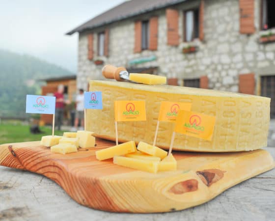 LUCA CRACCO, RESPONSABILE MARKETING E QUALITÀ DEL CONSORZIO TUTELA FORMAGGIO ASIAGO, È OSPITE AL MASTER FOOD & WINE 4.0